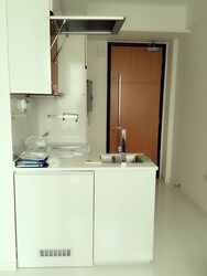 Loft @ Stevens (D10), Apartment #458464561